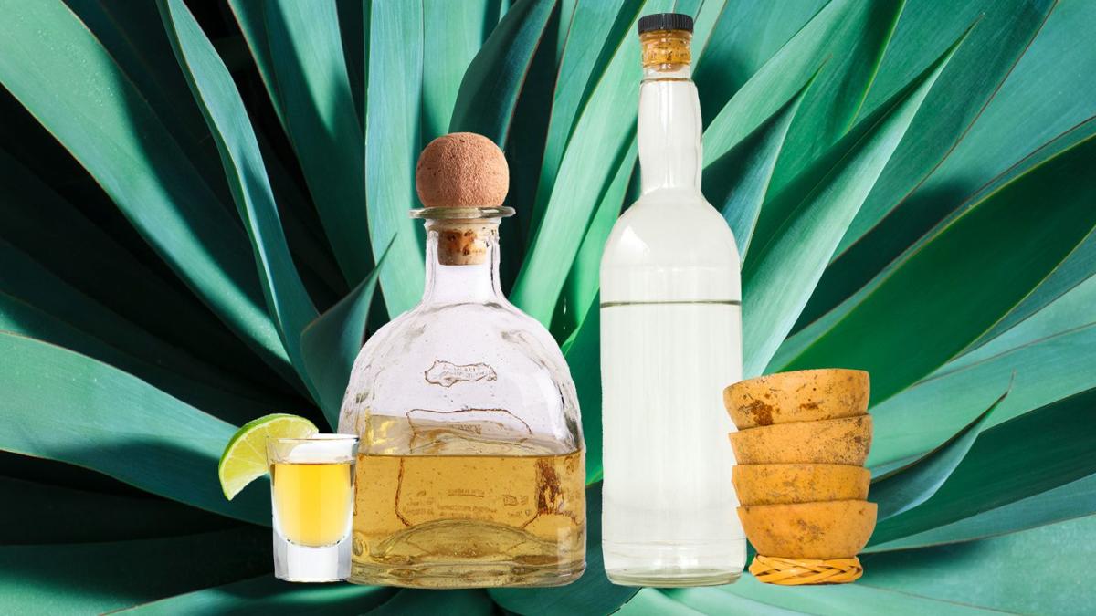 Tequila Drinkers, You're Actually Drinking A Type Of Mezcal