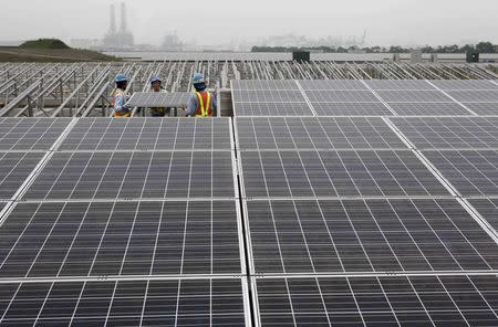 Workers set up a solar panel at a solar power field in Kawasaki, near Tokyo in this June 27, 2011 file photograph. REUTERS/Toru Hanai/Files