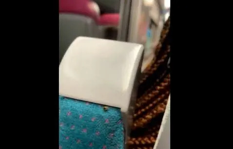 A suspected bedbug is seen crawling on the armrest of a train travelling between Paris and Lille, France, in a photo posted online by X user 