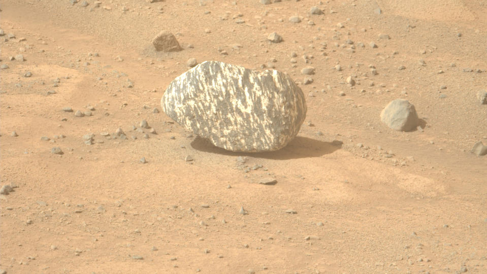     Ein Felsen mit gemusterten hellen und dunklen Markierungen liegt auf staubigem rotbraunem Boden mit kleineren Felsen und Kieselsteinen in der Nähe. 