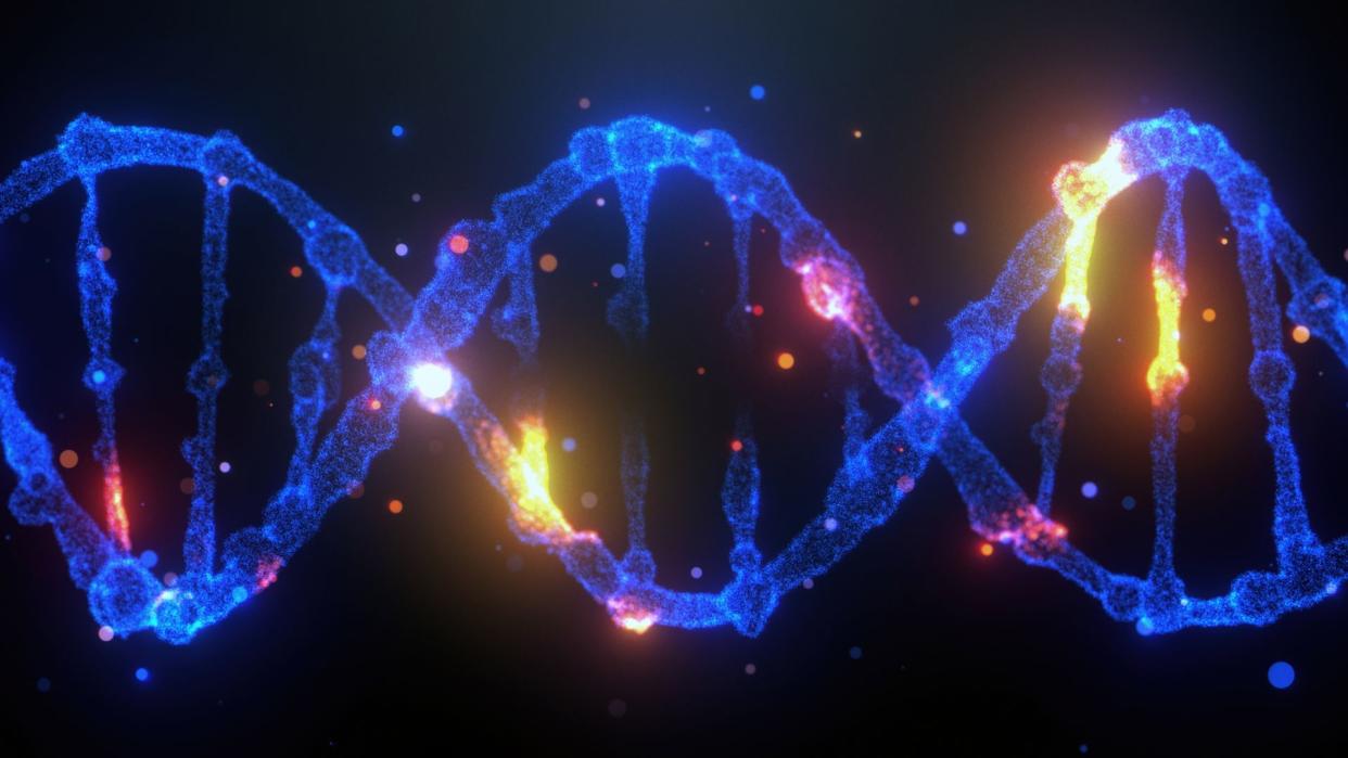  Illustration of a dna molecule with different nucleotides highlighted. 