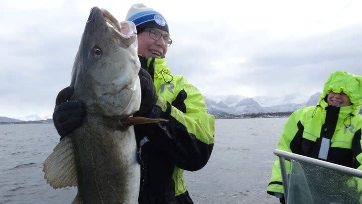 A man on a boat holding up an enormous cod--at least three feet long