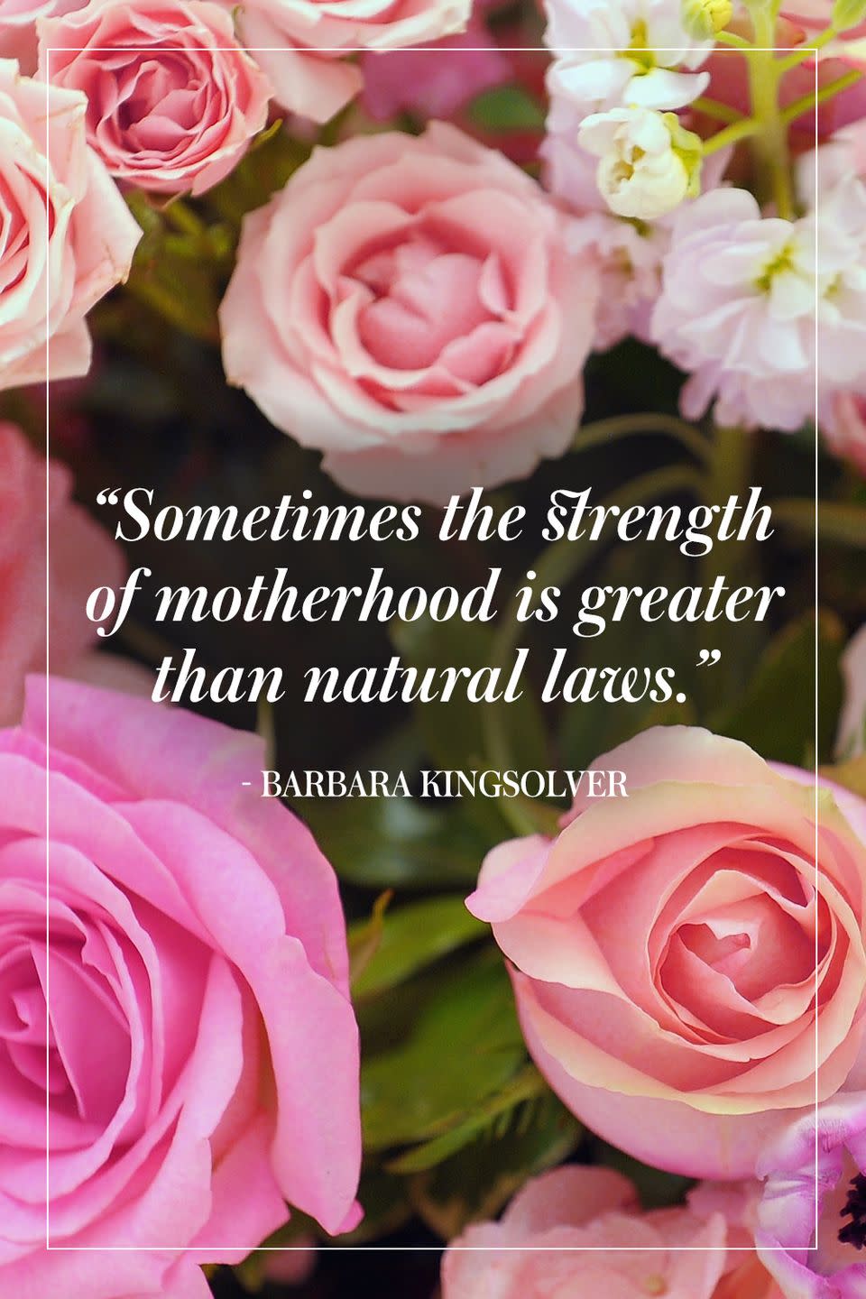 <p>"Sometimes the strength of motherhood is greater than natural laws."</p><p>- Barbara Kingsolver</p>