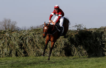 Horse Racing - Grand National Festival - Aintree Racecourse, Liverpool, Britain - April 14, 2018 Tiger Roll ridden by Davy Russell clears a fence before winning the 17:15 Randox Health Grand National Handicap Chase REUTERS/Darren Staples