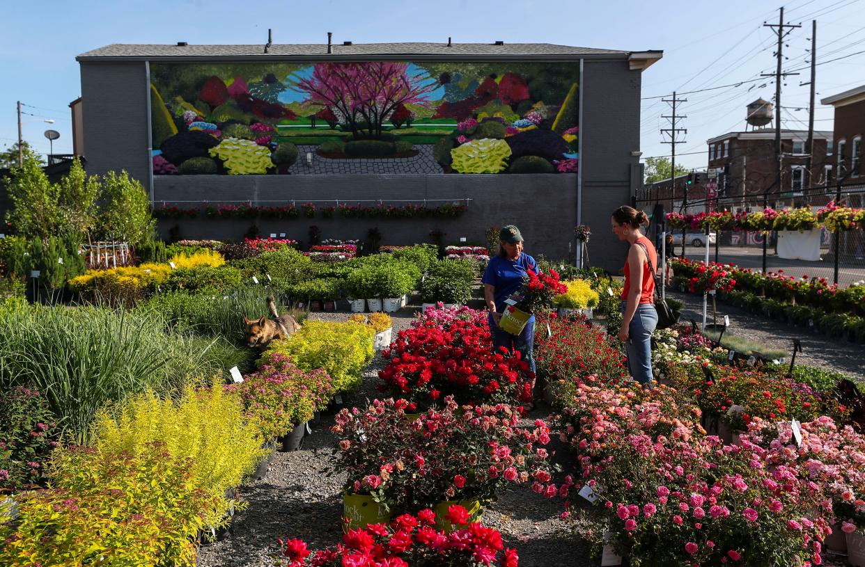 Hess' Landscape Nursery is open at 1136 Logan Street in Louisville's Shelby Park neighborhood.