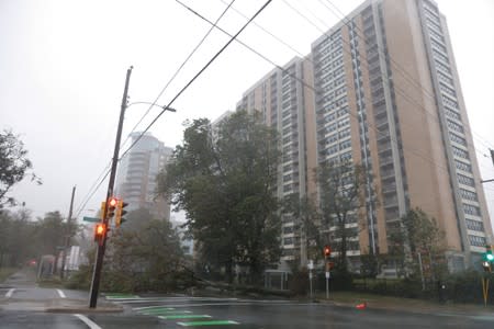 A tree lays along Robie Street in front of an apartment during the arrival of Hurricane Dorian in Halifax, Nova Scotia