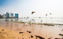 <p>With six beaches and a supremely laid back vibe, it’s no wonder Busan, the country's second largest city, is called the summer capital of Korea. Hit up <a rel="nofollow noopener" href="https://www.tripadvisor.com/Attraction_Review-g297884-d1458553-Reviews-Haeundae_Beach-Busan.html" target="_blank" data-ylk="slk:Haeundae;elm:context_link;itc:0;sec:content-canvas" class="link ">Haeundae</a> to explore the kitschy, carnival-like boardwalk and its live seafood stalls. Or, for a quieter, less crowded escape, the smaller <a rel="nofollow noopener" href="https://www.tripadvisor.com/Attraction_Review-g297884-d1605137-Reviews-Gwangalli_Beach-Busan.html" target="_blank" data-ylk="slk:Gwangalli;elm:context_link;itc:0;sec:content-canvas" class="link ">Gwangalli</a> beach has outdoor cafes and restaurants with direct views of the Grand Gwangan Bridge. Do as the locals and tuck into a plate of <em>hoe</em> (Korean sashimi) with a swig of <em>soju</em> for a lunch (and sun) break.</p>