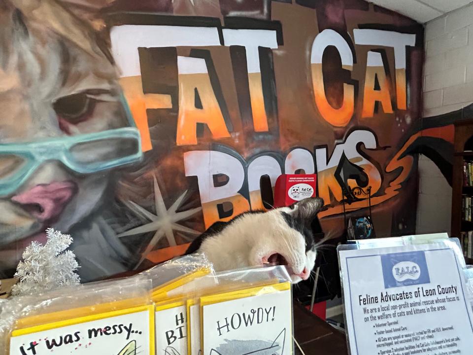 Bandit checks out some greeting cards at the cash register at Fat Cat Books in Railroad Square on Wednesday, Dec. 28, 2022.