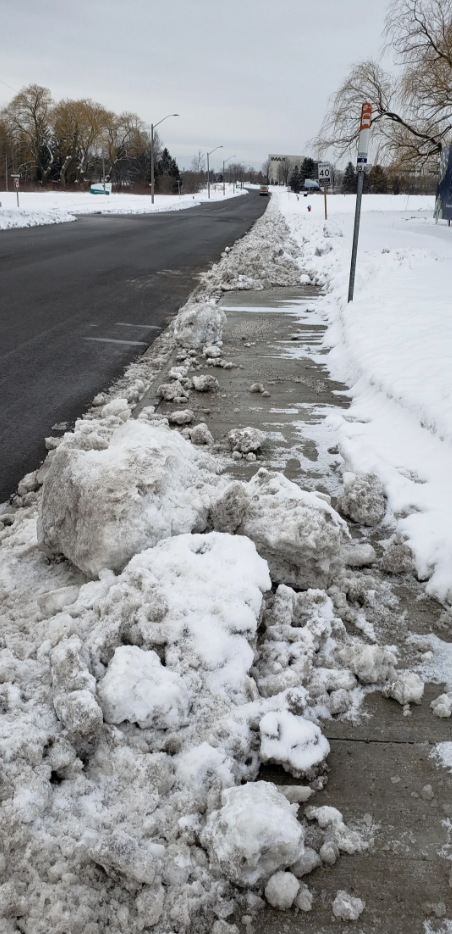 snow plowed to cover the sidewalks