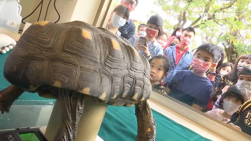 頑皮世界舉辦「動物健檢櫥窗」，供孩童近距離學習動物知識。