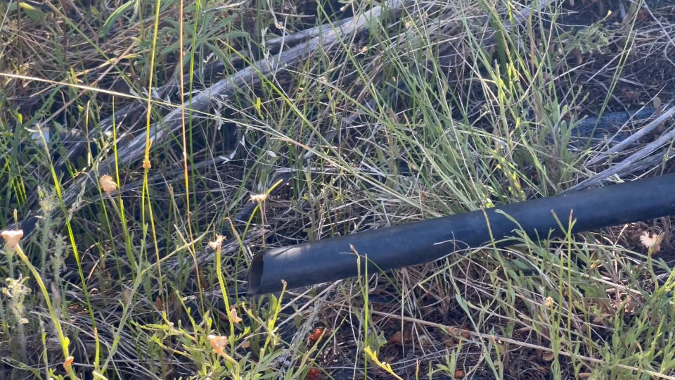 Drip lines were also cut on the tree farm.