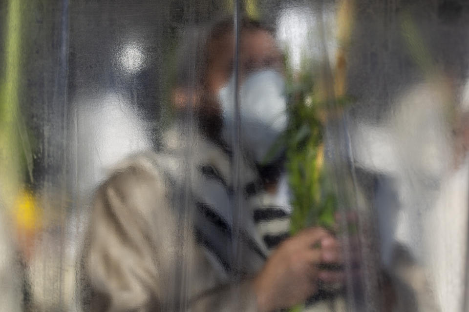 An Ultra-Orthodox Jew prays and holds a branch, one of the four items used as a symbol on the Jewish holiday of Sukkot, as he keeps social distancing and separated by plastic partitions during the current nationwide lockdown due to the coronavirus pandemic in the Orthodox Jewish neighborhood of Mea Shearim in Jerusalem, Sunday, Oct. 4, 2020. Despite appeals by some lawmakers and community leaders for compliance, the current harvest holiday of Sukkot has presented another opportunity to defy the lockdown. After the weeklong holiday began on Friday, social media and Israeli news outlets aired images of packed synagogues. The repeated violations by segments of the ultra-Orthodox population have confounded public health experts and tested Prime Minister Benjamin Netanyahu's longstanding political alliance with religious leaders. (AP Photo/Ariel Schalit)