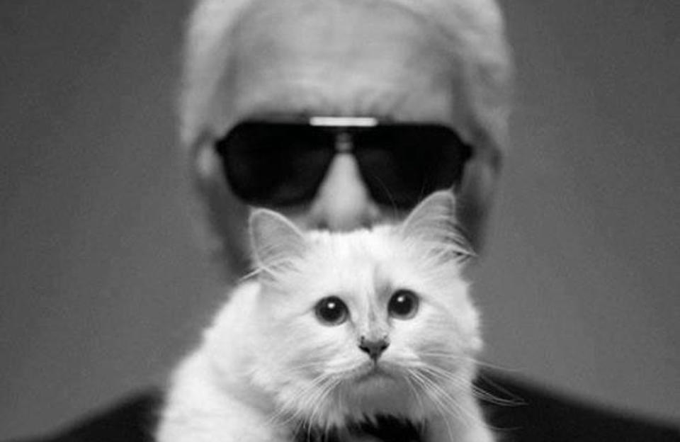 Karl’s beloved cat Choupette was a star in her own right with an estimated fortune of €‎3 million from her modelling and even has over 149,000 followers on Instagram. According to ex-Vogue Paris editor Carine Roitfeld, Choupette is a total diva. She recalled: “Very jealous girl, Choupette, she’s a mean cat [...] she can bite, she can scratch, she’s not a nice girl."