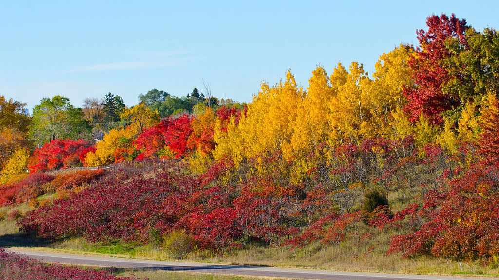 30 Beautiful Fall Pictures