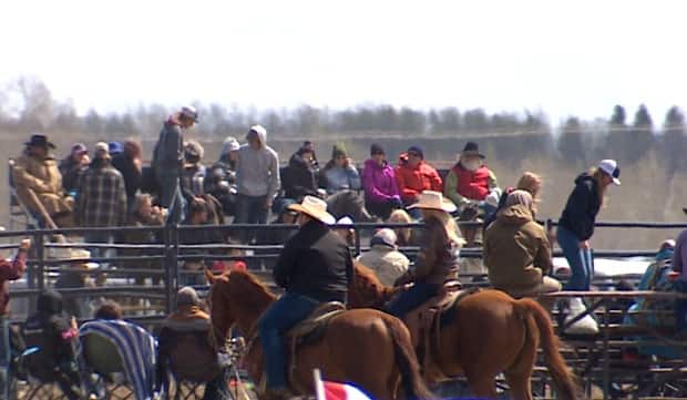Hundreds attended a rodeo near Bowden, Alta., on May 1 and 2 in defiance of public health restrictions and despite surging COVID-19 cases. (Justin Pennell/CBC - image credit)