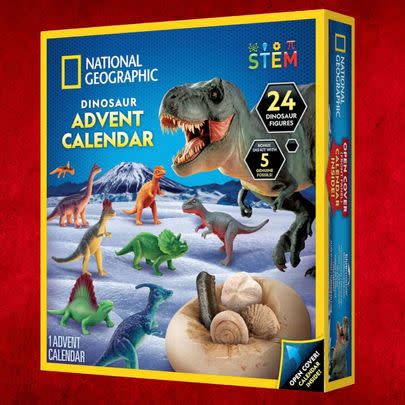 An educational array of dinosaurs from National Geographic