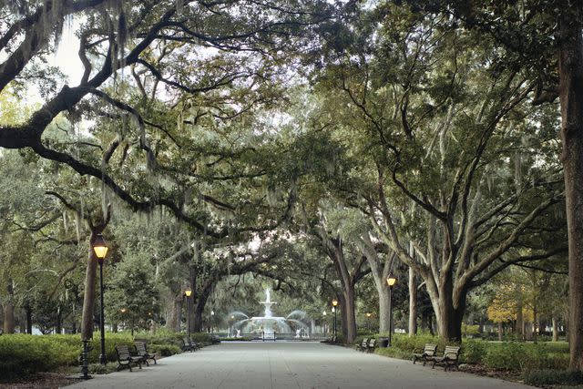 <p>GABRIELA HERMAN/GALLERY STOCK</p> The iconic fountain in Forsyth Park, just steps from the heart of downtown Savannah