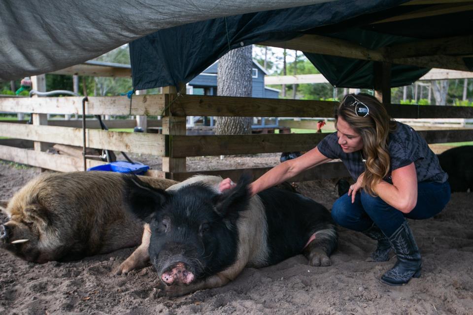 The story of Meg Weinberger’s winning $4,700 bid on the 250-pound hog, Bella B. Swine, is a cautionary tale of our time.