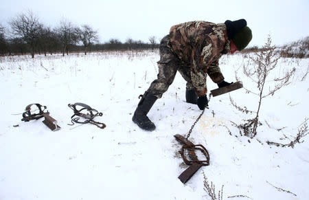 Vladimir Krivenchik, a hunter, installs traps in a field to catch a wolf near the village of Khrapkovo, Belarus February 1, 2017. REUTERS/Vasily Fedosenko