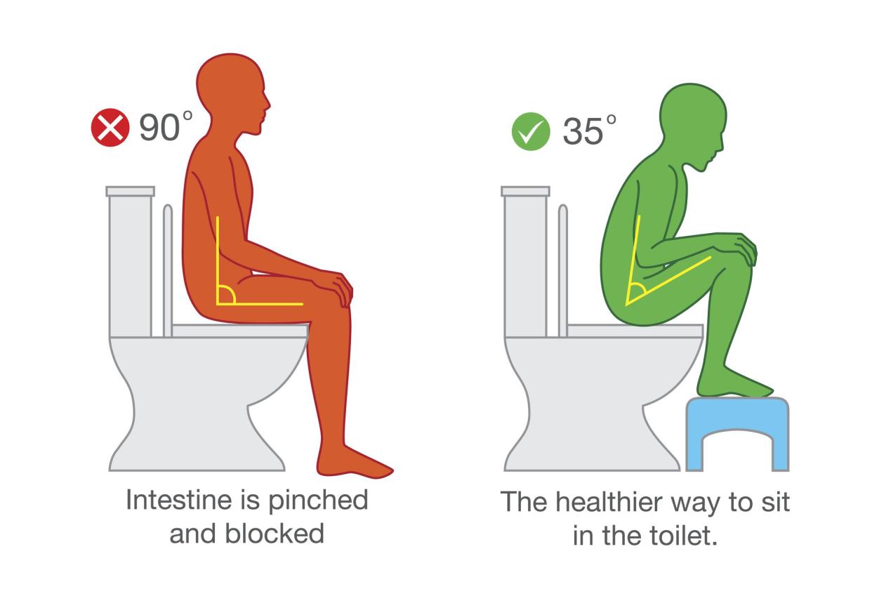 Correct sitting get the proper degree angle of body on toilet seat for help with excretion.