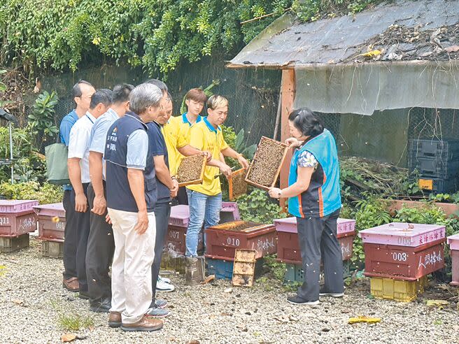 太平區養蜂產銷班第1班長期致力推廣蜜蜂食農教育，投入農村發展及社區關懷服務不遺餘力。（馮惠宜攝）