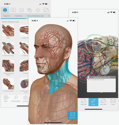 Human Anatomy Atlas 2018 puts a colorful, non-smelly digital cadaver on your phone.