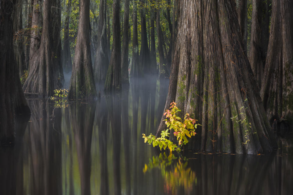 International Landscape Photographer of the Year 2018: Thorsten Scheuermann