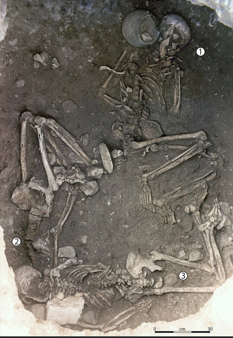 A photo of three skeletons in a burial.