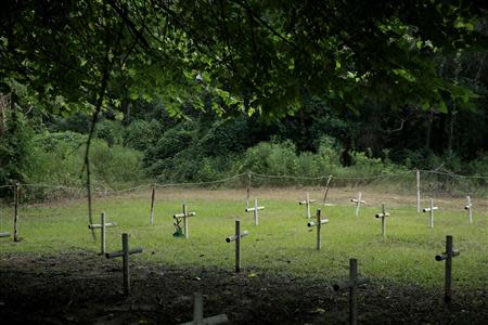 Thirty one metal crosses mark the Boot Hill cemetery at the now closed Arthur G. Dozier School for Boys in Marianna, Florida, August 30, 2013. REUTERS/Edmund D. Fountain/Pool