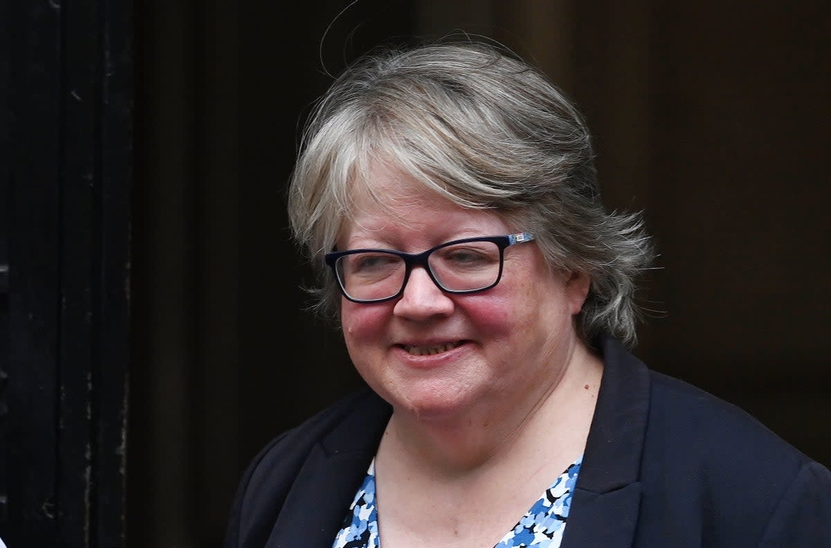 There is now just one cabinet minister with a PhD: Therese Coffey (EPA)