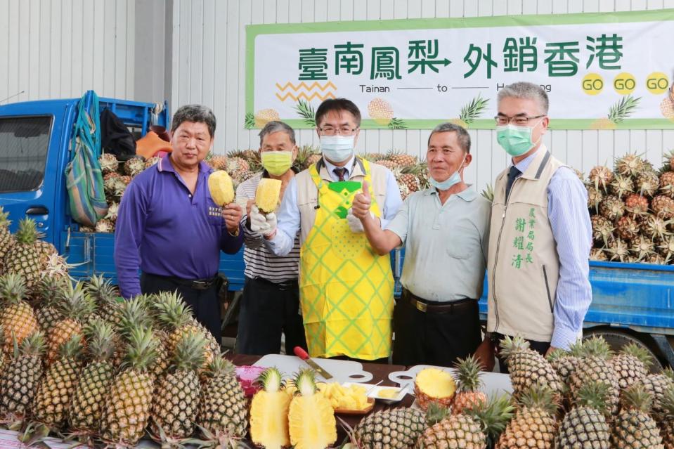 為支持臺灣農民，「香港臺灣工商協會」積極號召獲熱烈反應，透過關廟南雄合作社，採購逾10000公斤準備輸往香港，台南市長黃偉哲今日參與啟運記者會，共同見證臺南鳳梨外銷香港。   圖：黃博郎／攝