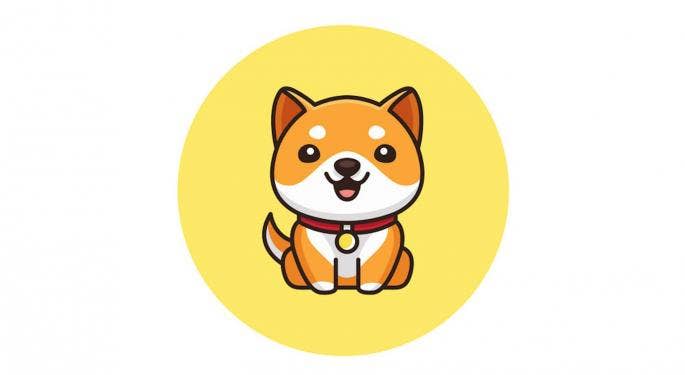 BABYDOGE: ¿nueva 'locura' de las criptomonedas con temática de perro?