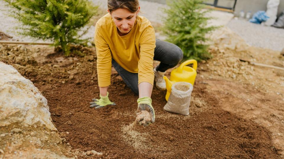 Young woman with yellow shirt spreads grass seed with work gloves on bare patch of dirt. 