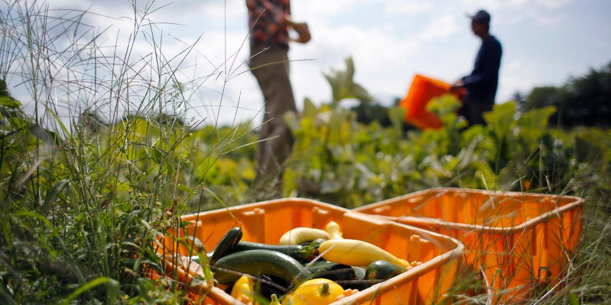 migrant farm workers