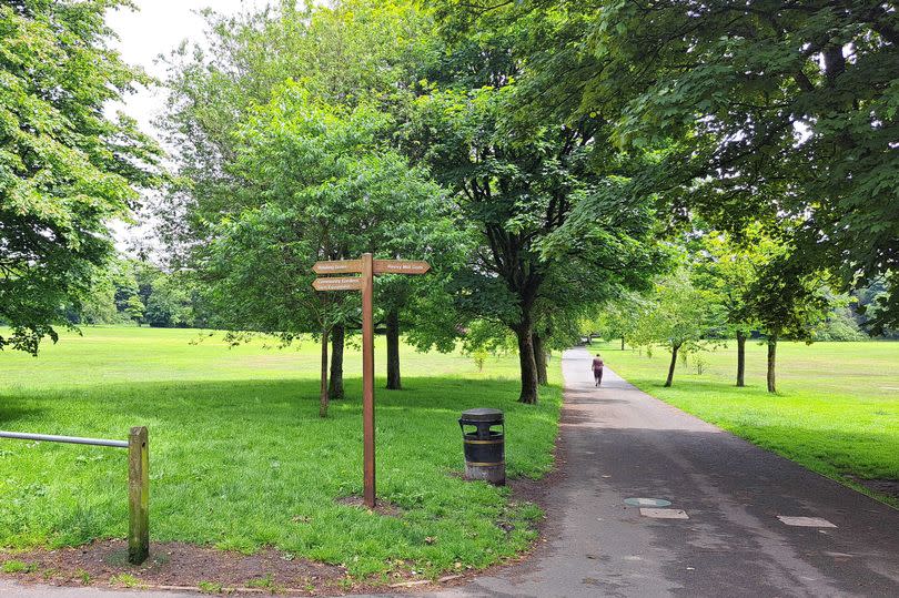 Wibsy Park has been described as a 'no go' zone after dark