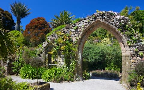 Tresco Abbey Gardens - Credit: getty