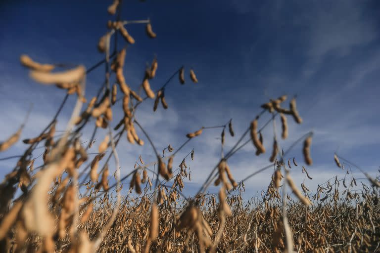 ARGENTINA, Las Acequias: Cosecha de soja en Las Acequias, Cordoba, el 3 de \May\ de 2019. LA NACION / Diego Li