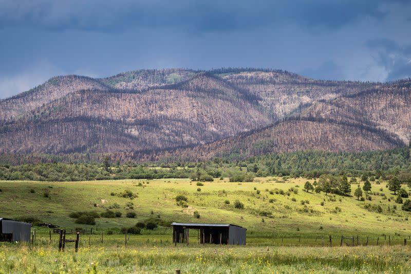 A green valley contrasts against the charred mountains from a wildfire in Chacon