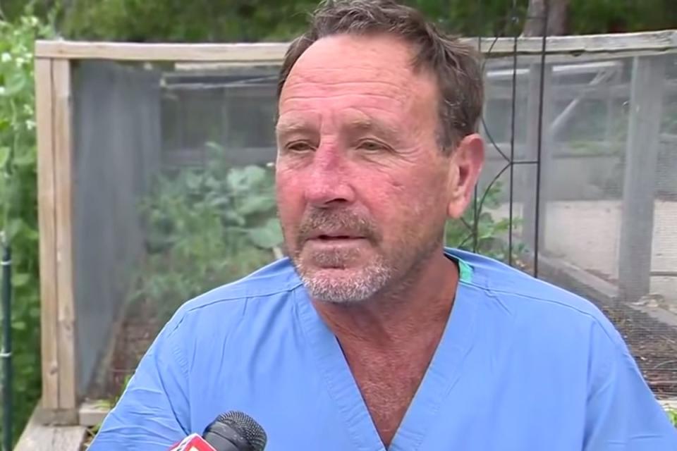 Michael Packard thought he was going to die while in the mouth of a humpback whale near Provincetown, Massachusetts (WCVB Channel 5 Boston )