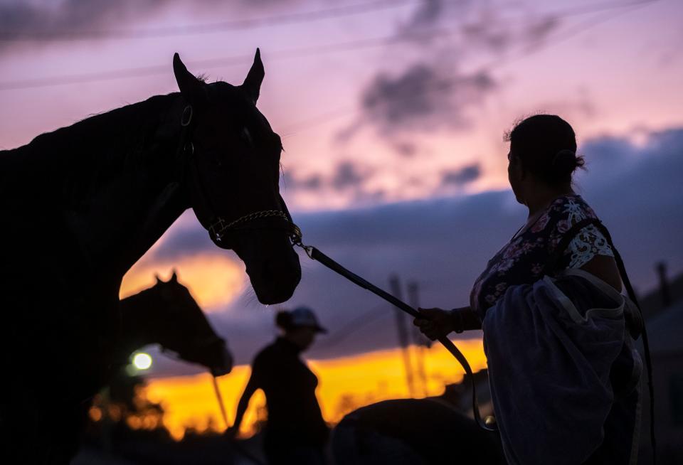 Horses are held and bathed on the backside of Churchill Downs at dawn as a cold front moves into the area. Oct. 4, 2019.