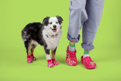 Pet Crocs & Classic Lined Clogs