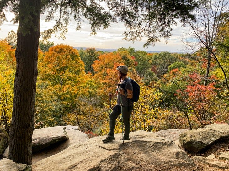 autumn leaves from overlook