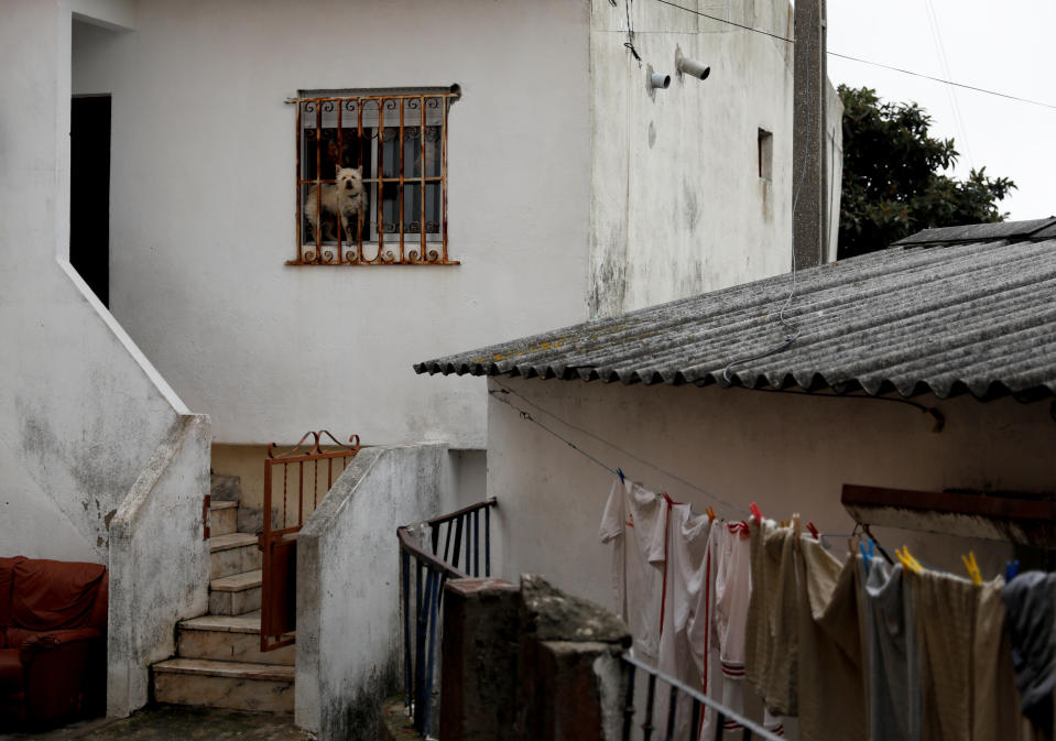 A dog stands in a window of a house in Cova da Moura