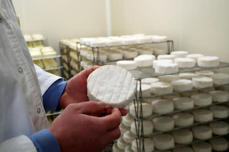 Charles Breant, one of the owners of French non-pasteurizer Camembert cheese farm ''Le 5 Freres de Bermonville", holds a Camembert cheese at the farm in Bermonville, France, March 12, 2019. REUTERS/Gonzalo Fuentes