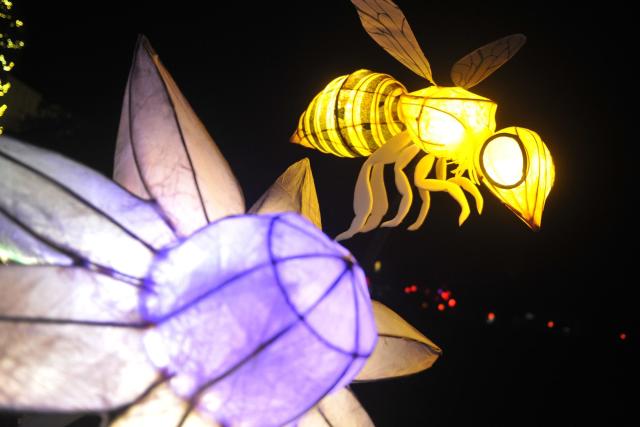 Photos and video: this awe inspiring installation is on display at  Wakehurst in West Sussex as Glow Wild turns ten years old