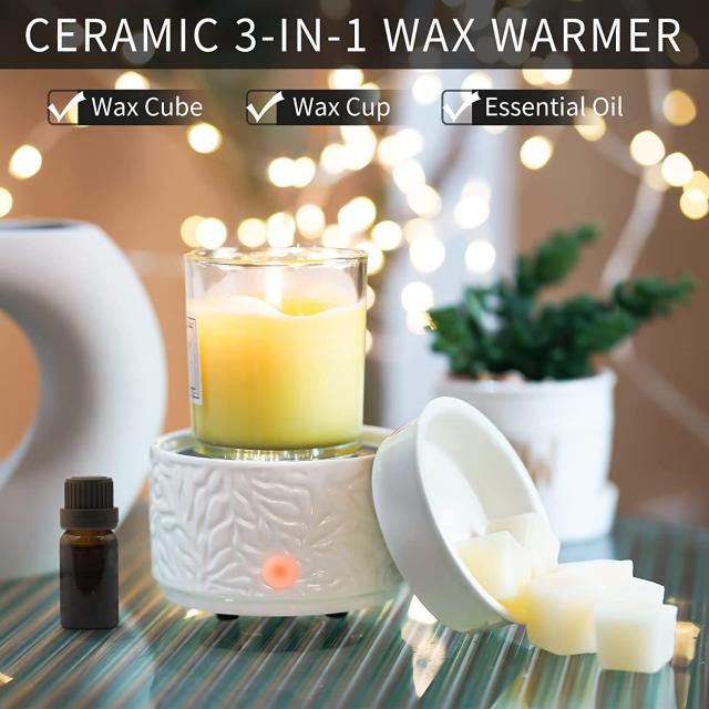 SALKING Ceramic Wax Melt Warmer, Electric Wax Warmer for Scented Wax,  Candle Wax Warmer Oil Burner with 2 Bulbs, Wax Melter Fragrance Warmer for