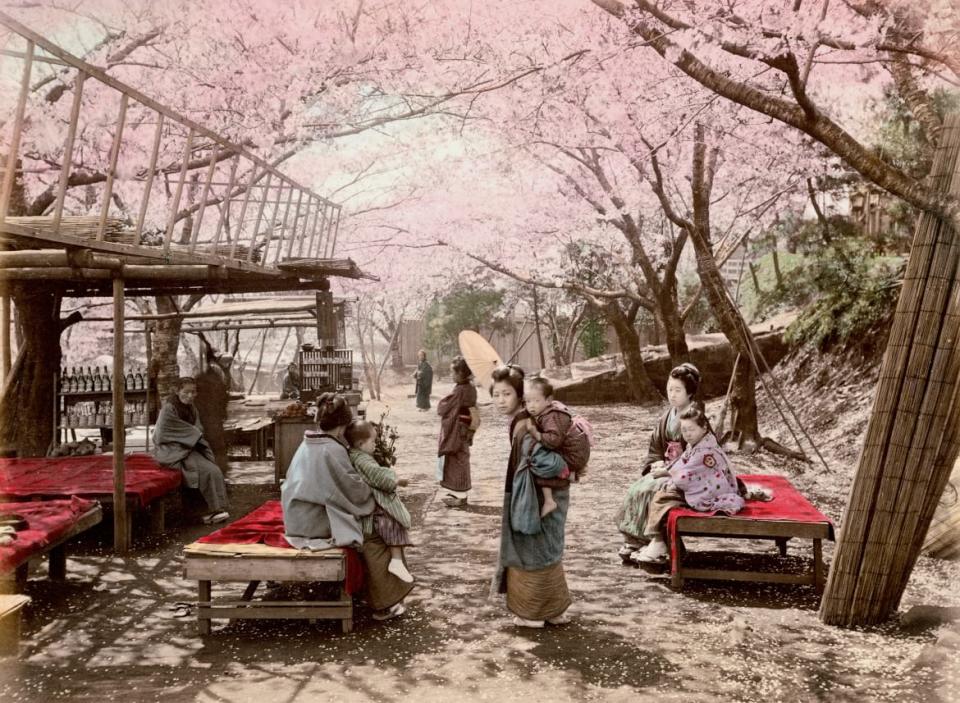   <div class="inline-image__caption"><p>Yokohama, cherry blossoms at Nogeyama, Kusakabe Kimbei, c. 1890.</p></div> <div class="inline-image__credit">Former Collection Marc Walter/Photovintage France. Courtesy of TASCHEN.</div>