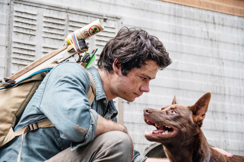 Dylan O'Brien looks at a dog