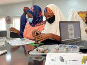 Teenage girls in northern Nigeria "open their minds" with robotics