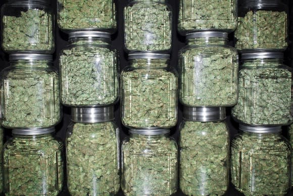 Jars of marijuana